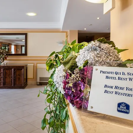 Dioscuri Bay Palace מלון 4*